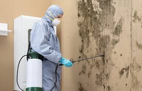 Asbestos and Lead Testing During Mold Inspection in Piedmont, SC